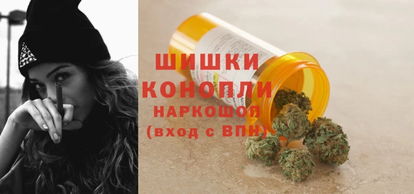 гашик Аркадак