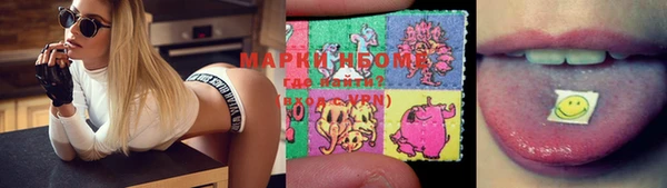 гашик Аркадак
