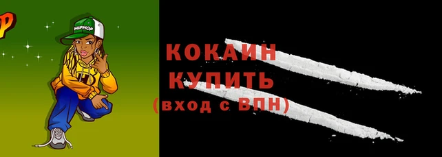 гашик Аркадак