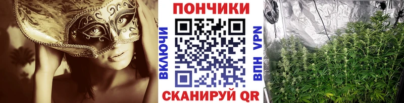 купить наркотик  Усть-Катав  Марихуана сатива 